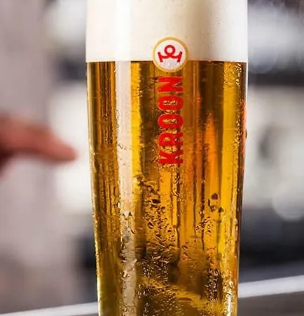 克鲁恩酒店 3*